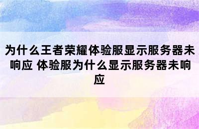 为什么王者荣耀体验服显示服务器未响应 体验服为什么显示服务器未响应